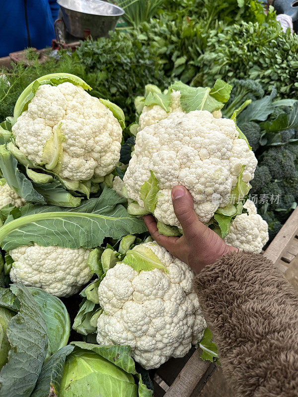 特写照片:面目全非的人在挑选菜花(Brassica oleracea var. botrytis)新鲜农产品市场的摊位，成堆的蔬菜，西兰花(Brassica oleracea var. italica)，卷心菜(Brassica oleracea var. capitata)，前景为焦点